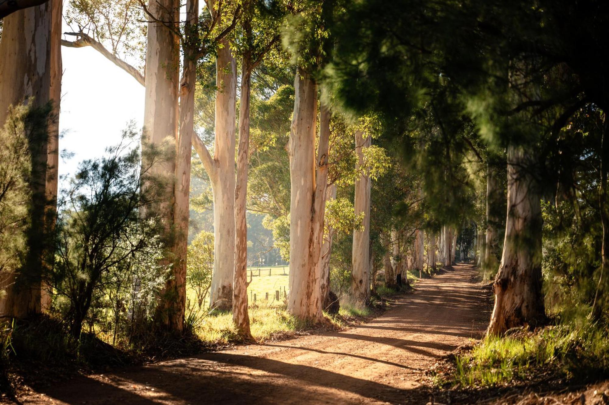 Karrak Reach Forest Retreat Denmark Buitenkant foto