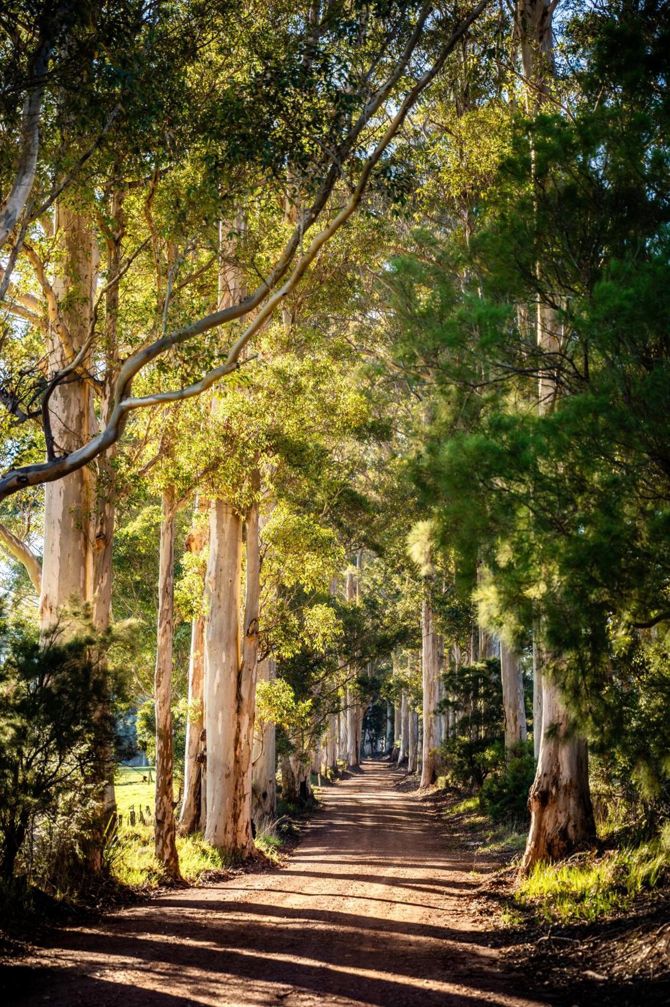 Karrak Reach Forest Retreat Denmark Buitenkant foto